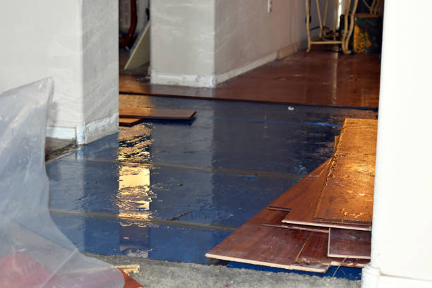 Professional Sewage Cleanup technician working in Clayton, MI